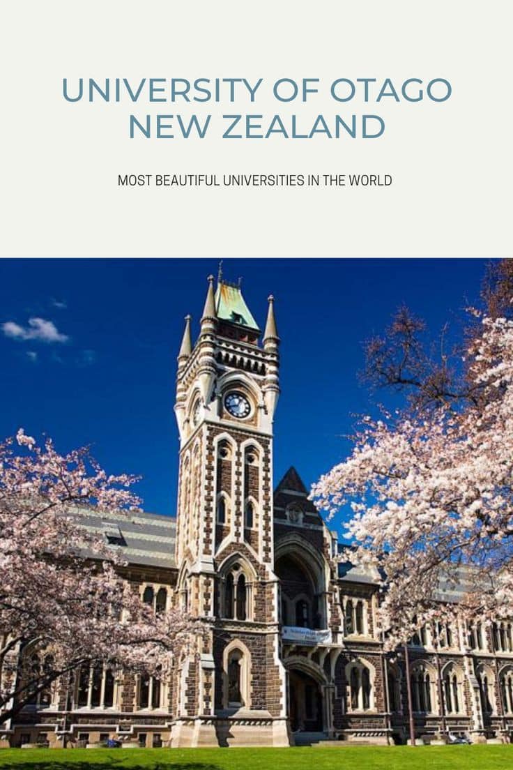 Study in New Zealand